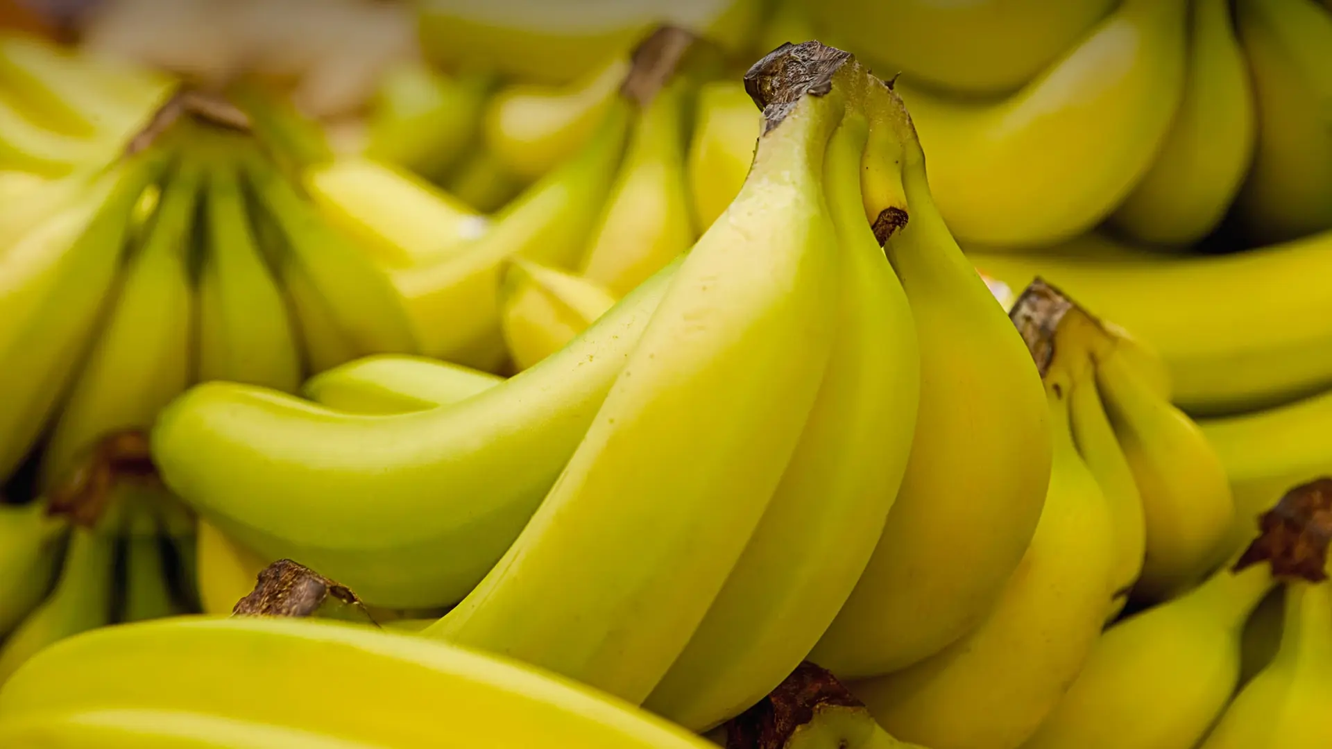 لاتنسيها.. أفضل طرق حفظ الموز لأطول فترة في المطبخ